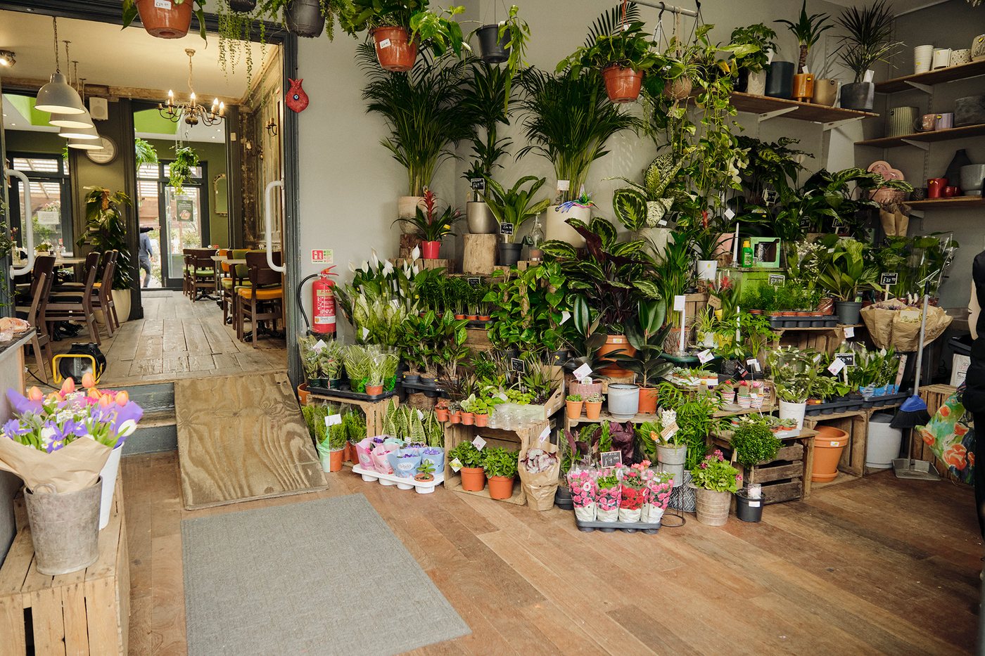 Stokey Garden & Flower Store